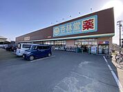 杏林堂ドラッグストア 姫街道店（1500m）