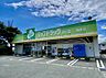 周辺：ココカラファイン ファミリードラッグシーズ篠原店（1070m）