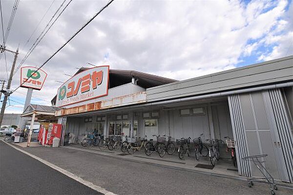 画像25:【スーパー】スーパーマーケット コノミヤ 浜寺石津店まで209ｍ