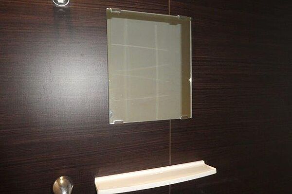 画像28:浴室鏡