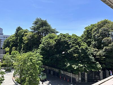 外観：イタリア大使館の緑を望む眺望