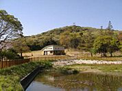 岩屋緑地 540m