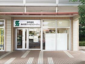 千葉県柏市中十余二（賃貸アパート1LDK・1階・41.98㎡） その27