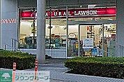 ナチュラルローソン佃2丁目店 徒歩3分。 170m
