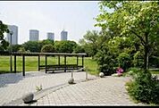 東雲緑道公園 25m