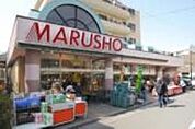 MARUSHO 250m