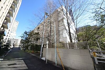 外観:Blossom Terrace 外観:Blossom Terrace