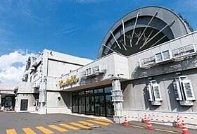 北海道札幌市豊平区平岸四条18丁目（賃貸マンション1LDK・3階・50.00㎡） その20