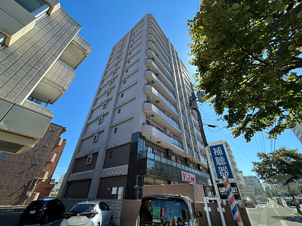 北海道札幌市東区北二十二条東16丁目(賃貸マンション1LDK・11階・33.00㎡)の写真 その1