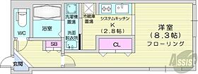 北海道札幌市中央区南十四条西7丁目（賃貸マンション1K・3階・28.38㎡） その2