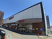 東光ストア西線6条店 374m