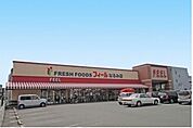 FRESH FOODS FEEL（210m）
