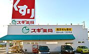 スギ薬局 清水山店（902m）