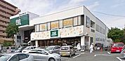 Ｆｕｊｉ大船店 1193m