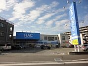 ハックドラッグ辻堂羽鳥店 50m