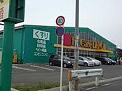 Fit　Care　DEPOT阿久和南店 919m