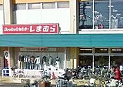 シマムラ 1200m