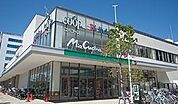 ミアクチーナ湘南辻堂駅前店 723m