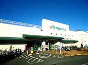 マルエツ茅ヶ崎店 883m