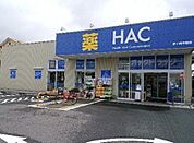 ハックドラッグ茅ヶ崎今宿店 1331m