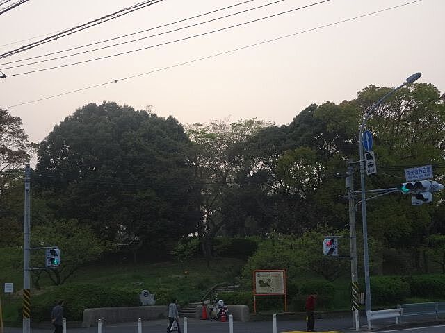 周辺