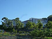 多摩大学 1800m
