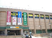 ダイエー 650m