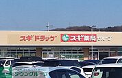 スギドラッグ東松山新宿町店 徒歩4分。 270m