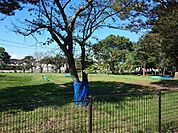 武蔵公園 徒歩28分。 2230m
