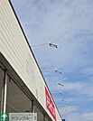 ドラッグスギ北本店 徒歩18分。 1400m