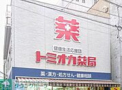 トミオカ薬局本店 徒歩10分。 780m