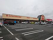 ベルク 七本木店 徒歩22分。 1700m