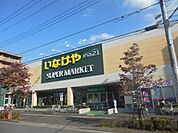 いなげや 902m