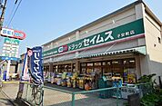 ドラッグセイムス子安町店 421m