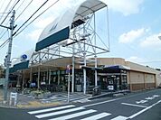マルフジ ゲオ 600m