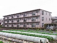 東京都福生市大字福生2332-1：物件画像／株式会社タウンハウジング東京　タウンハウジング京王八王子店