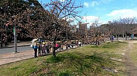 エスリード長居公園PARK AVENUE  ｜ 大阪府大阪市住吉区南住吉1丁目3-6（賃貸マンション1K・8階・21.46㎡） その24