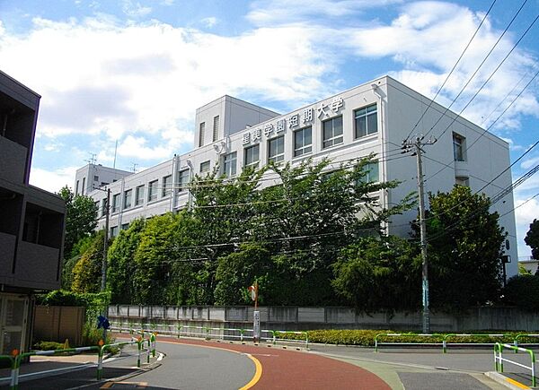 埼玉県川口市上青木西2丁目(賃貸マンション1K・2階・26.08㎡)の写真 その29