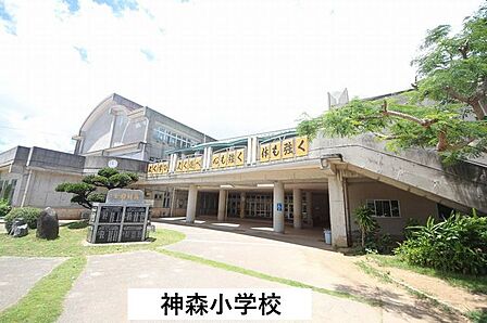 神森小学校 1300m