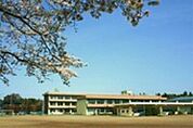 筑西市立新治小学校(小学校)まで523m