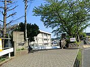 小学校 480m 横須賀市立池上小学校