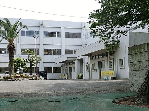 周辺を拡大表示
