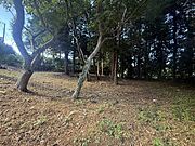 現地