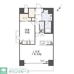 インシグニア渡辺通 12階