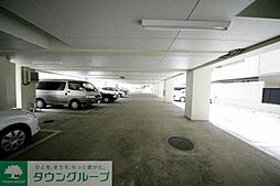 11 / 11