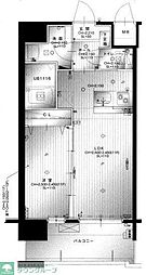 ラファセフェリーズ 1LDKの間取図画像