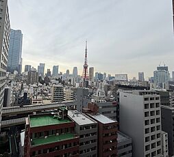 東京タワー方面を望む眺望（眺望は永続的に保証されるものではございません。）