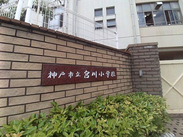 周辺：【小学校】神戸市立宮川小学校まで493ｍ
