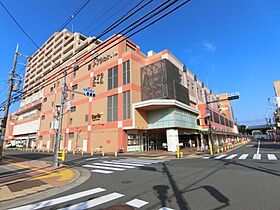 フジパレス助松町ノース 203 ｜ 大阪府泉大津市助松町2丁目3（賃貸アパート1LDK・2階・40.44㎡） その25