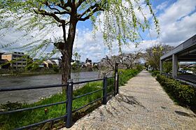 樹庭夢  ｜ 京都府京都市南区西九条針小路町（賃貸マンション1R・5階・18.16㎡） その28
